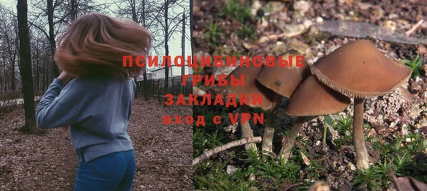 каннабис Инта