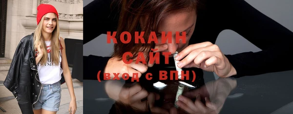 соль ск Инсар
