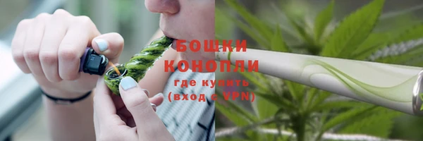 соль ск Инсар