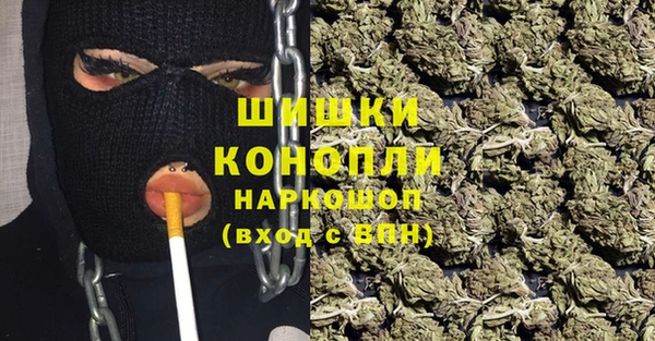 соль ск Инсар