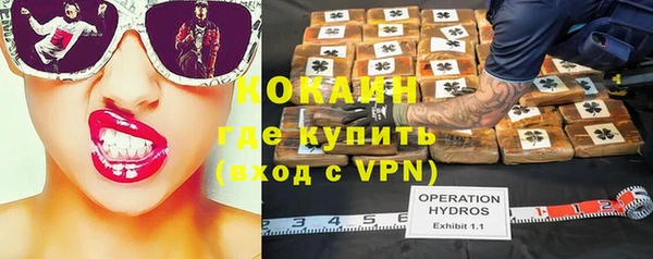 соль ск Инсар