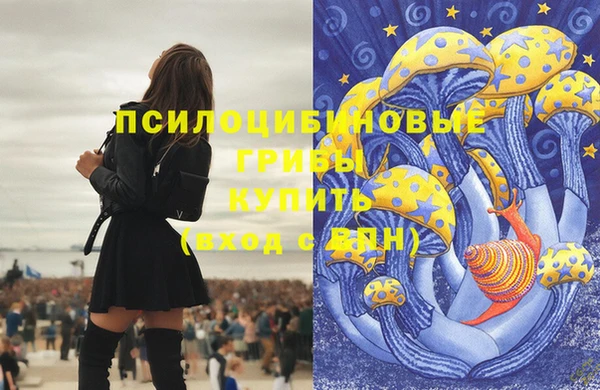 соль ск Инсар