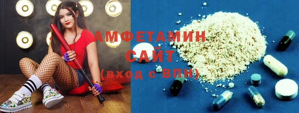 соль ск Инсар