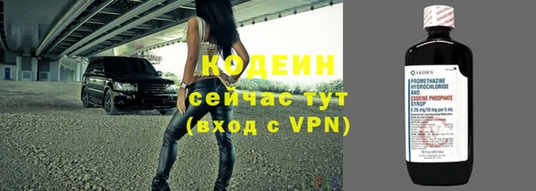 соль ск Инсар